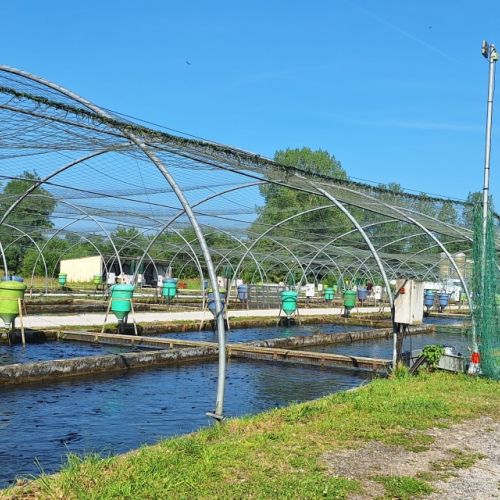 pisciculteurs-hdf-HDF pisciculture-beauvoir wavans-4