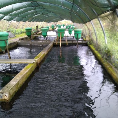 pisciculteurs-hdf-le dien-1