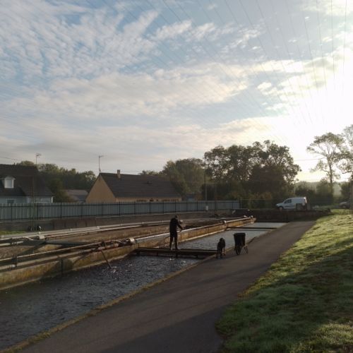 pisciculteurs-hdf-scardon-5