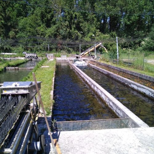 pisciculteurs-hdf-fac-5