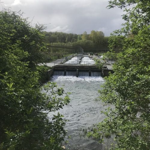 pisciculteurs-hdf-airaines-20