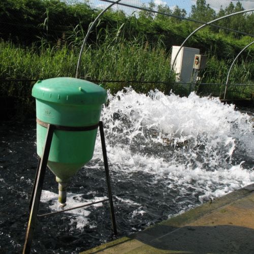 pisciculteurs-hdf-le dien-4