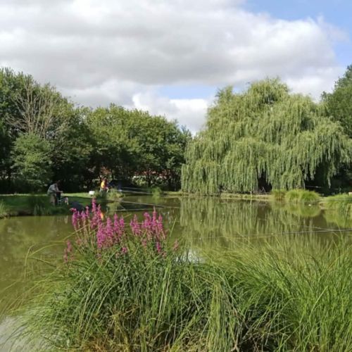 pisciculteurs-hdf-le boisle-pacours de pêche-1