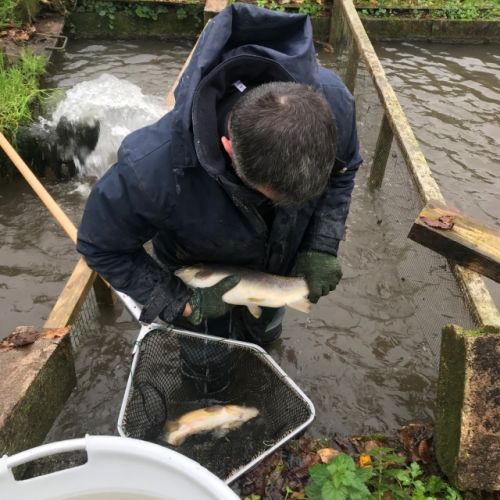 pisciculteurs-hdf-voulpaix-pêche-3