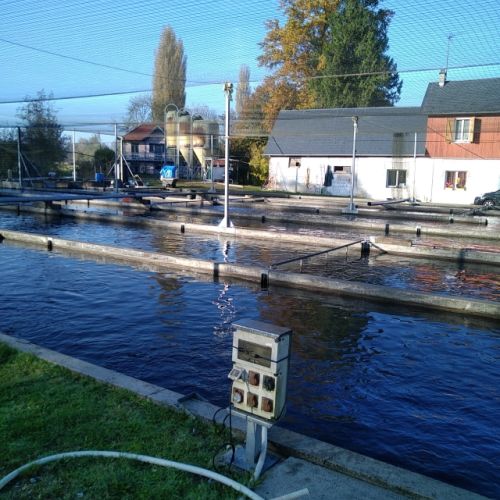 pisciculteurs-hdf-pierru-famechon-1