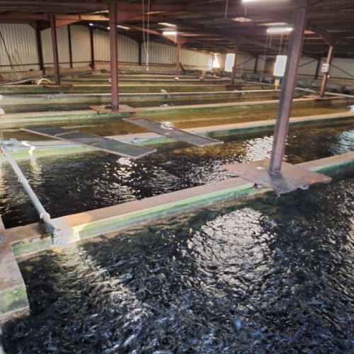 pisciculteurs-hdf-merlet-4