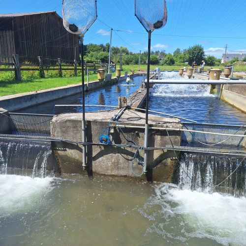 pisciculteurs-hdf-la calonne-6