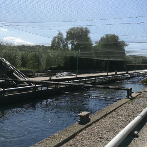 pisciculteurs-hdf-beussent-3