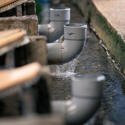 pisciculteurs-hdf-mont saint vaast-louez-2