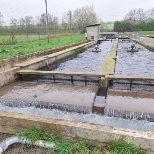 pisciculteurs-hdf-le bléquin-affringues-3