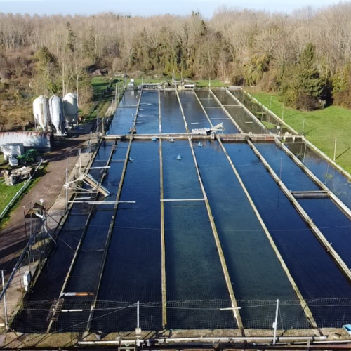 pisciculteurs-hdf-merlet-6