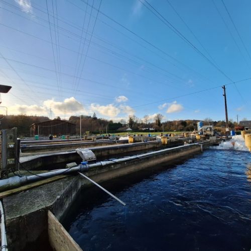 pisciculteurs-hdf-la calonne-3