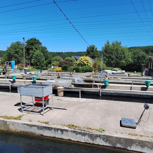 pisciculteurs-hdf-la calonne-1