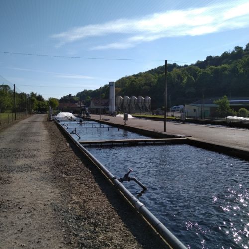 pisciculteurs-hdf-le bléquin-affringues-2