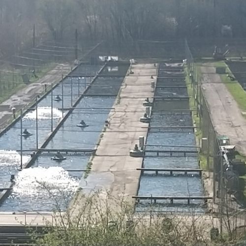 pisciculteurs-hdf-airaines-2