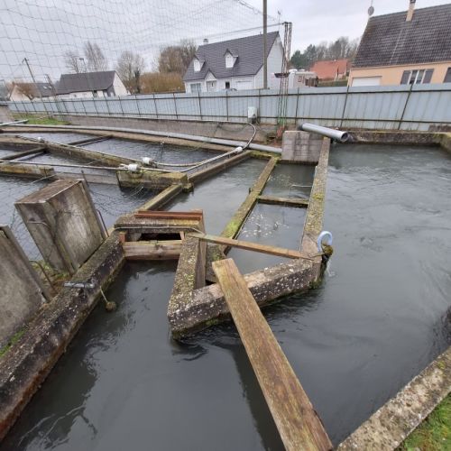 pisciculteurs-hdf-scardon-4