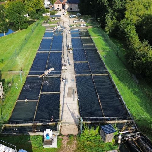 pisciculteurs-hdf-cleret-monchel-4