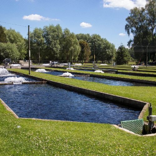 pisciculteurs-hdf-scea jorgensen-drucat-3