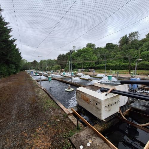 pisciculteurs-hdf-milin nevez-saint ouen-5