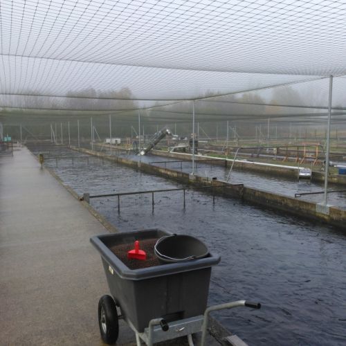 pisciculteurs-hdf-pierru-miraumont-1