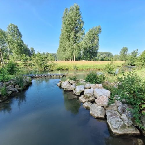 pisciculteurs-hdf-HDF pisciculture-beauvoir wavans-5