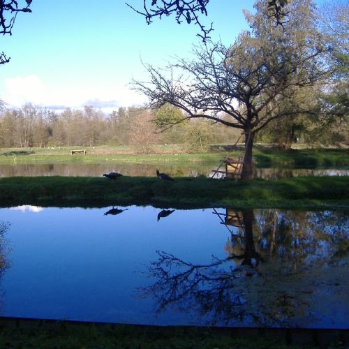 pisciculteurs-hdf-omignon-parcours de pêche-6