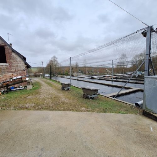 pisciculteurs-hdf-pierru-famechon-4