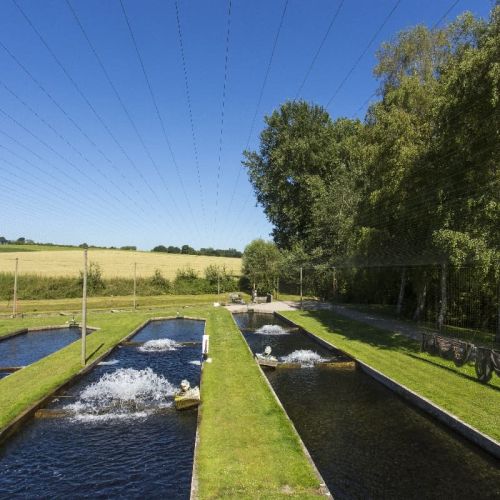 pisciculteurs-hdf-scea jorgensen-drucat-5