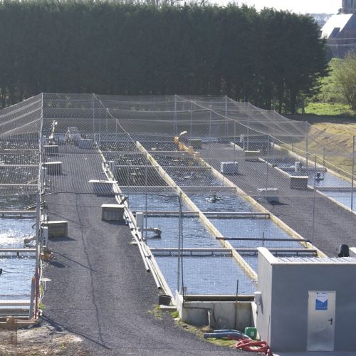 pisciculteurs-hdf-moulin du roy-2