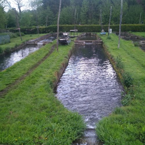 pisciculteurs-hdf-poix de picardie-2