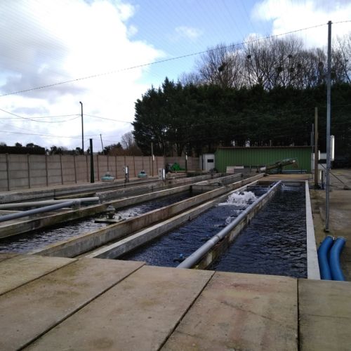 pisciculteurs-hdf-scea jorgensen-machiel-1