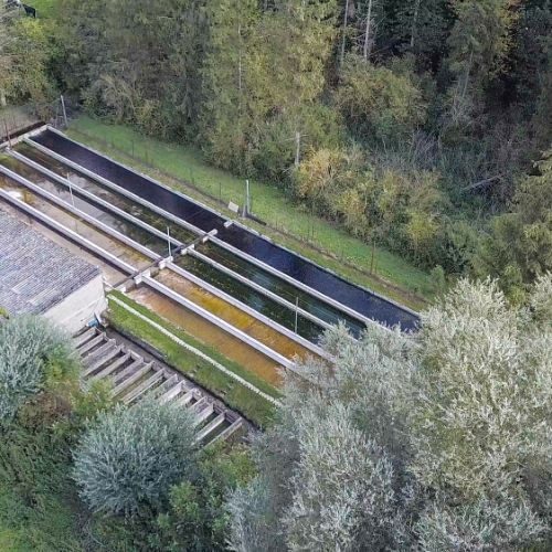 pisciculteurs-hdf-mont saint vaast-louez-1