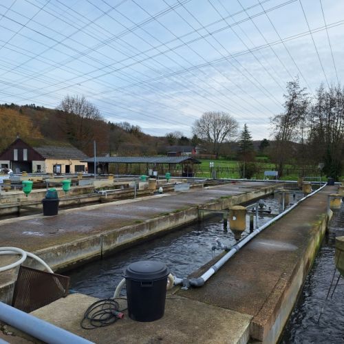 pisciculteurs-hdf-la calonne-5