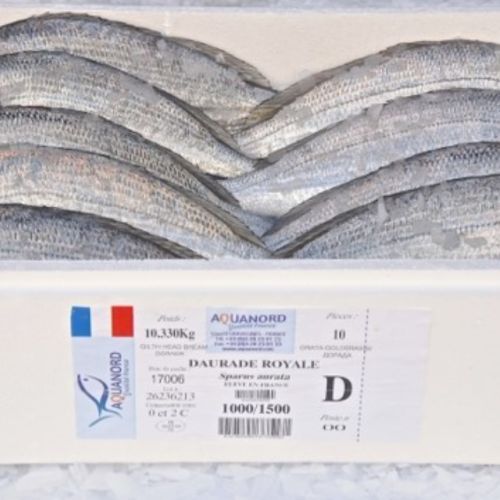 pisciculteurs-hdf-Daurade en caisse