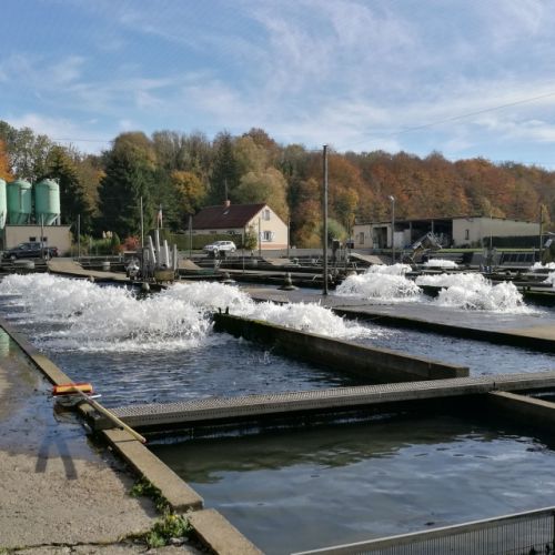 pisciculteurs-hdf-ternoise-5