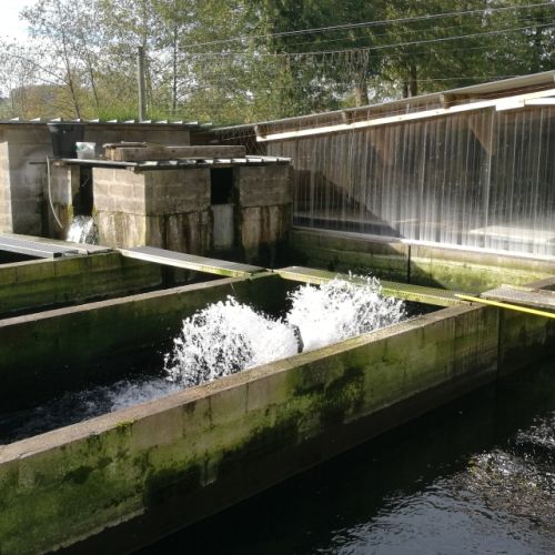 pisciculteurs-hdf-ternoise-6