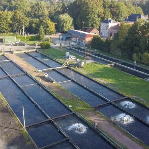 pisciculteurs-hdf-mont saint vaast-5