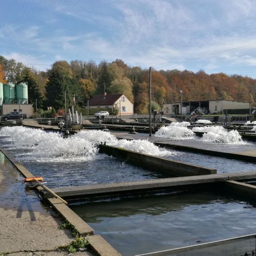 pisciculteurs-hdf-ternoise-12