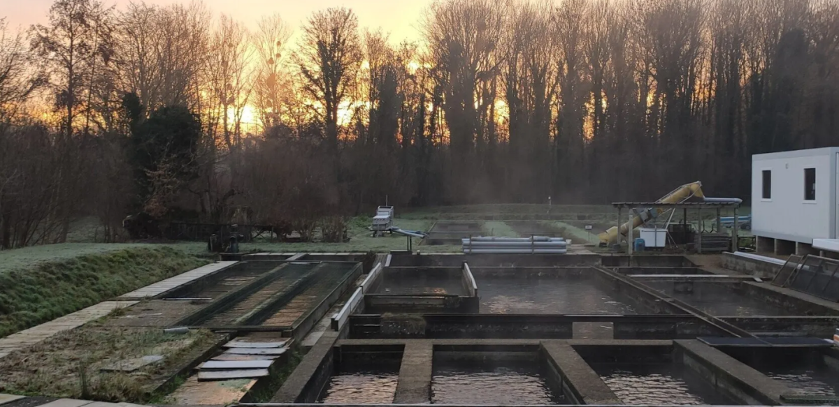 EARL Pisciculture de Bulles