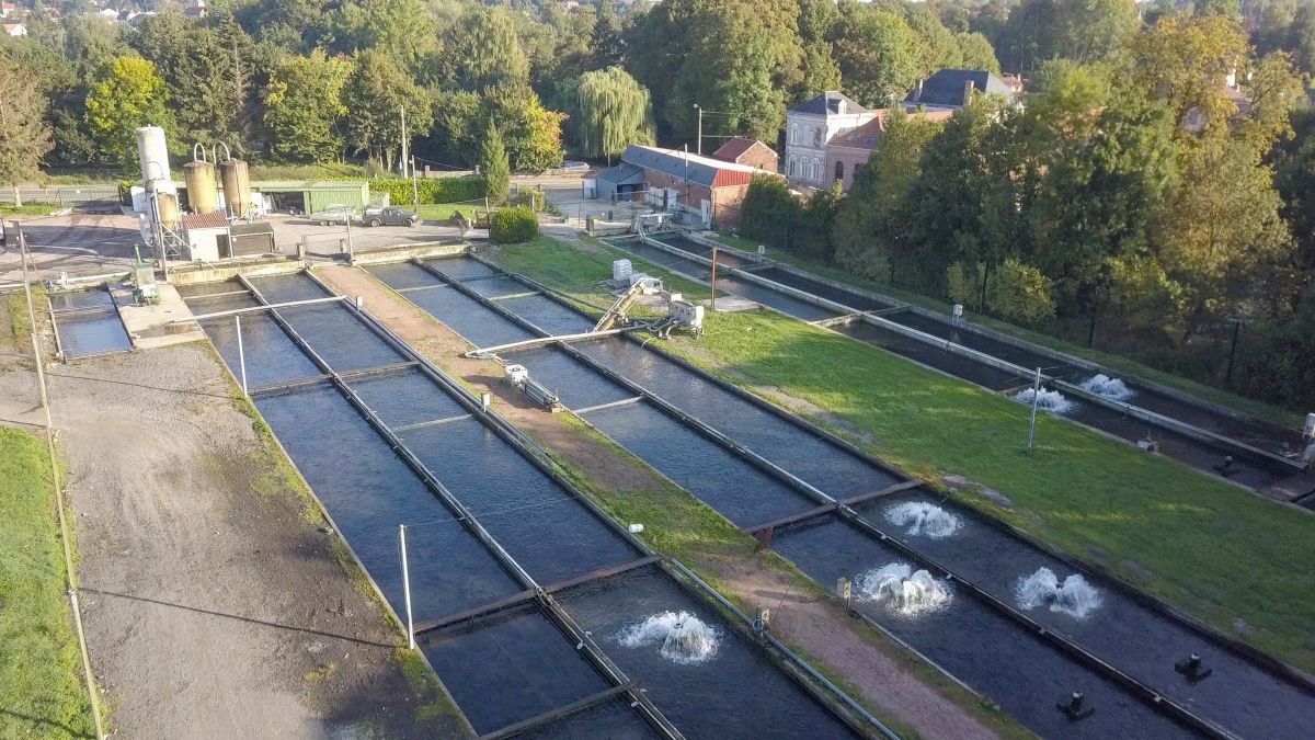 SAE Domaine du Mont Saint Vaast