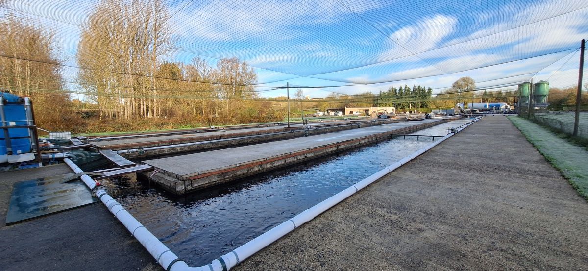 SCEA La Fontaine de Bichecourt