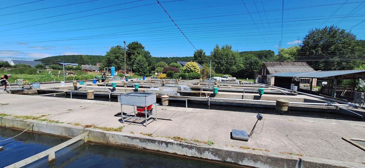 EARL Pisciculture de la Calonne