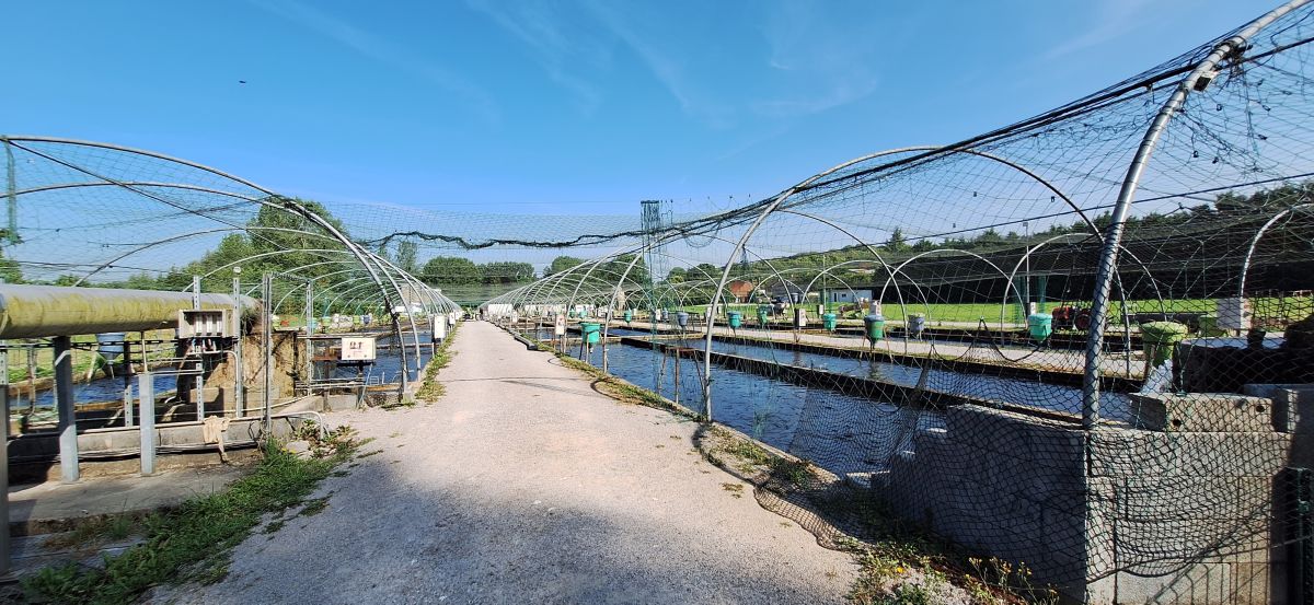 SCEA HDF Piscicultures