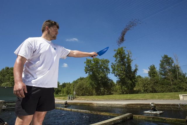 Piscicultures en Hauts de France