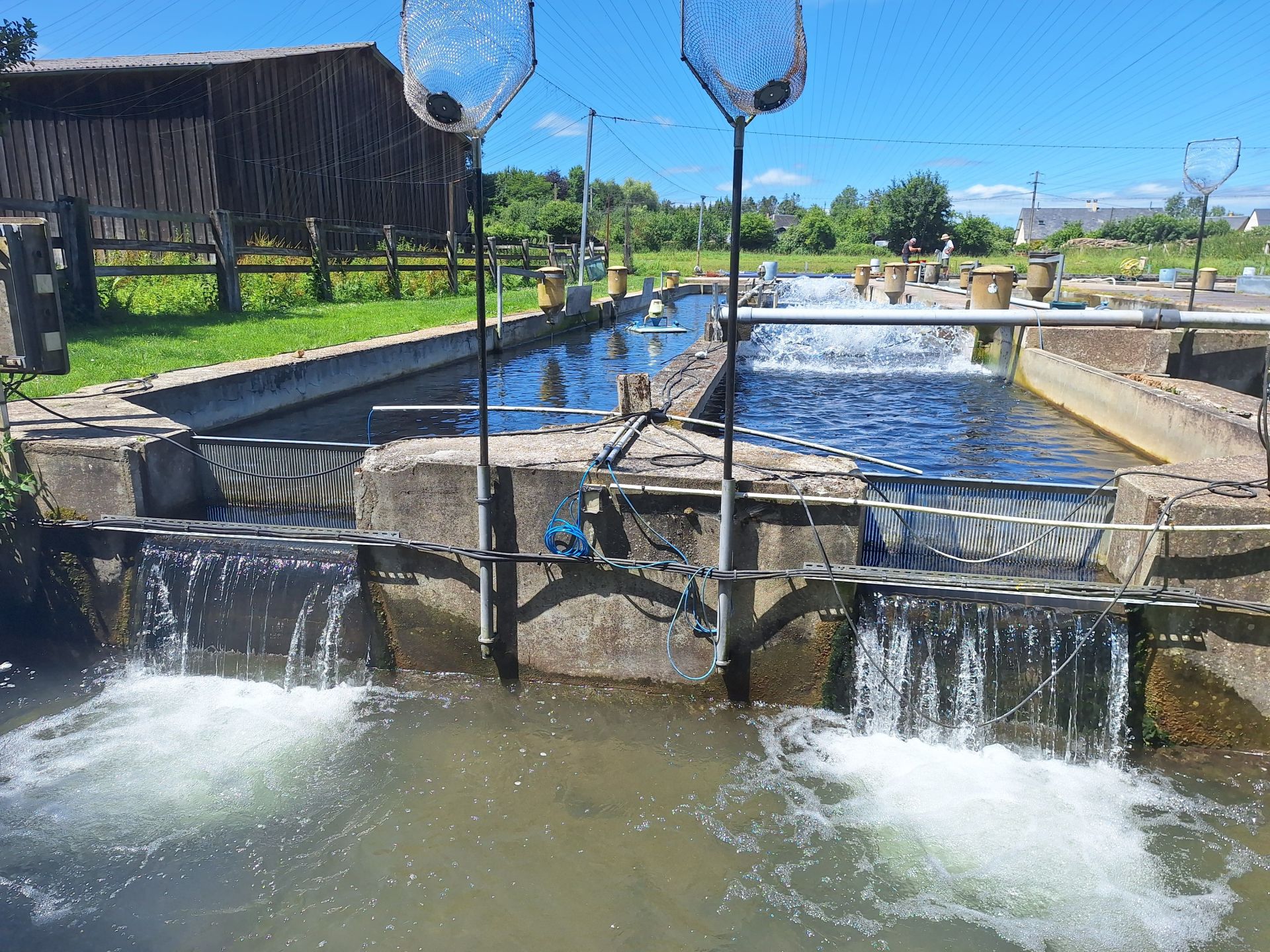 Syndicat des Pisciculteurs Hauts-de-France - EARL Pisciculture de la Calonne